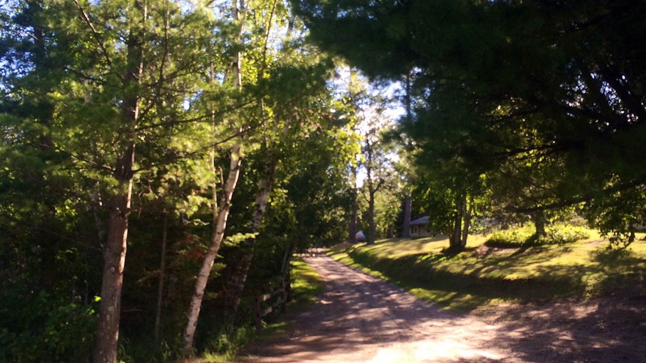 Photo of Others in Pine River