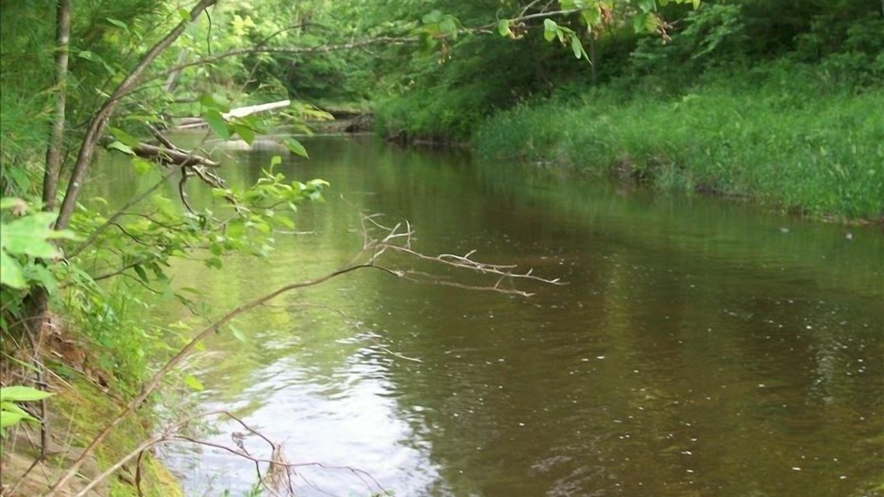 Photo of Others in Black River Falls