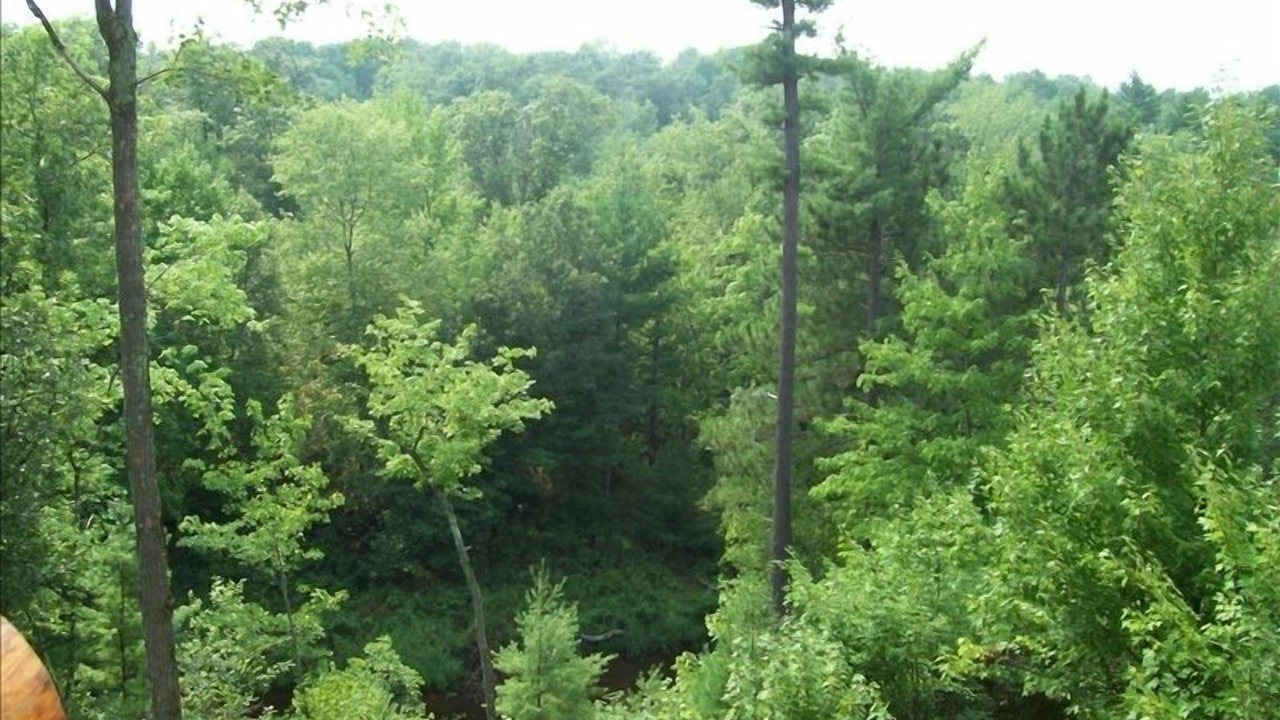 Photo of Others in Black River Falls
