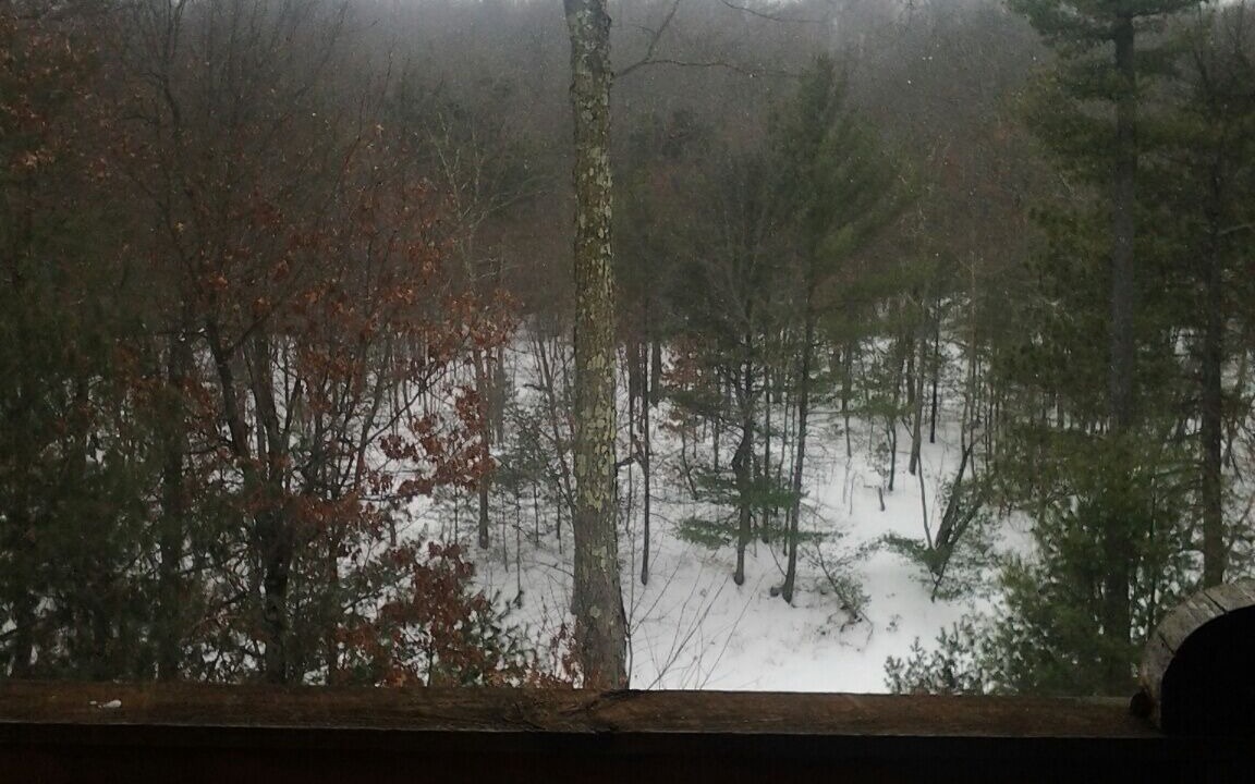 Photo of Outdoor in Black River Falls