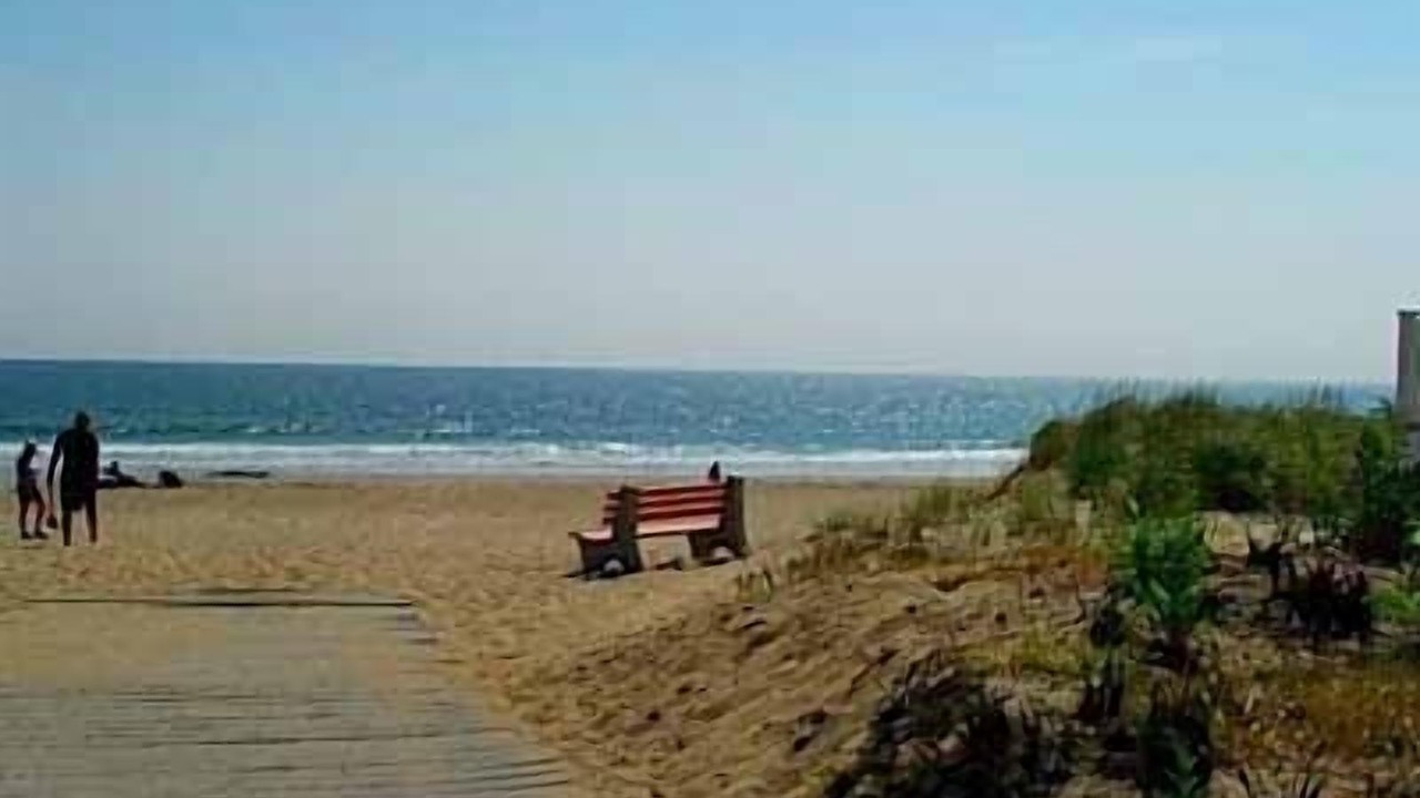 Photo of Others in Seabrook