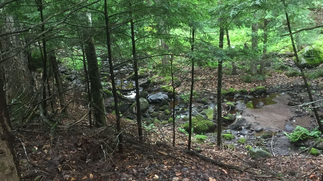 Photo of Outdoor in Tupper Lake