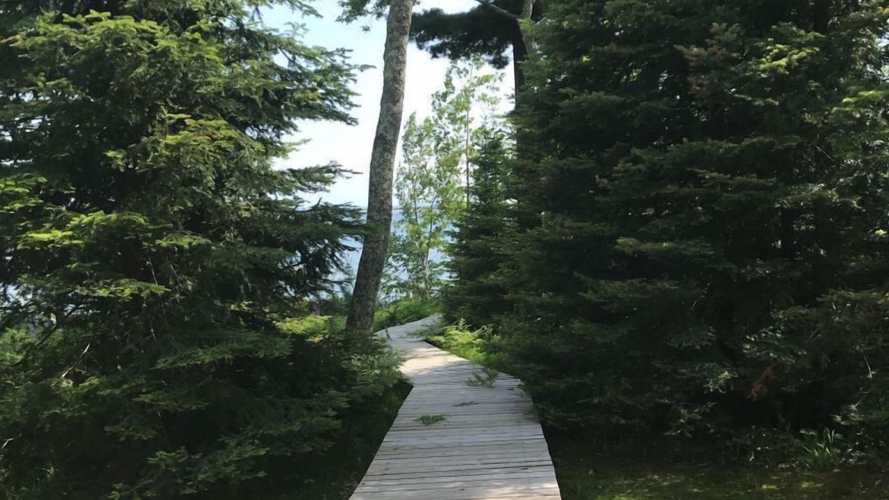 Photo of Outdoor in La Pointe