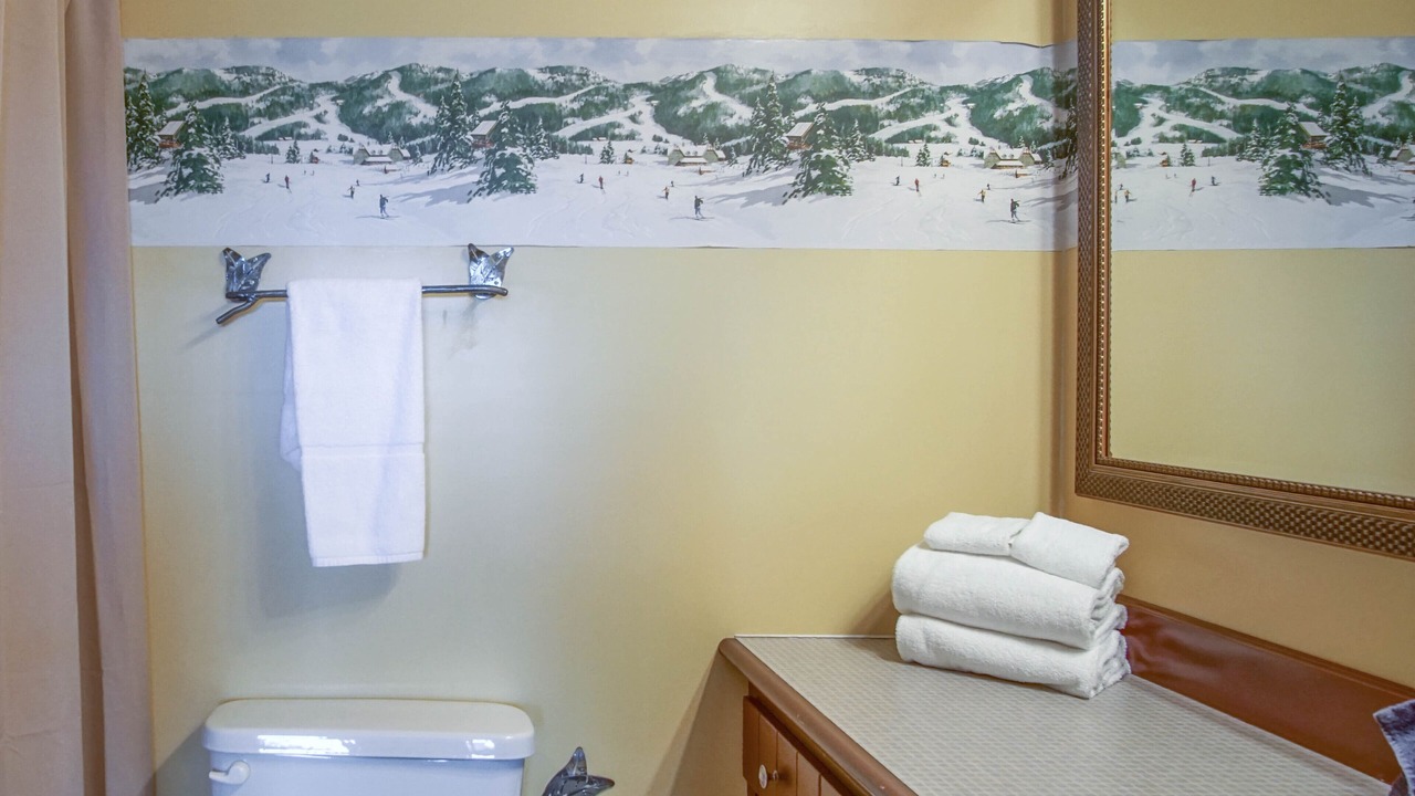 Photo of Bathroom in Snowshoe