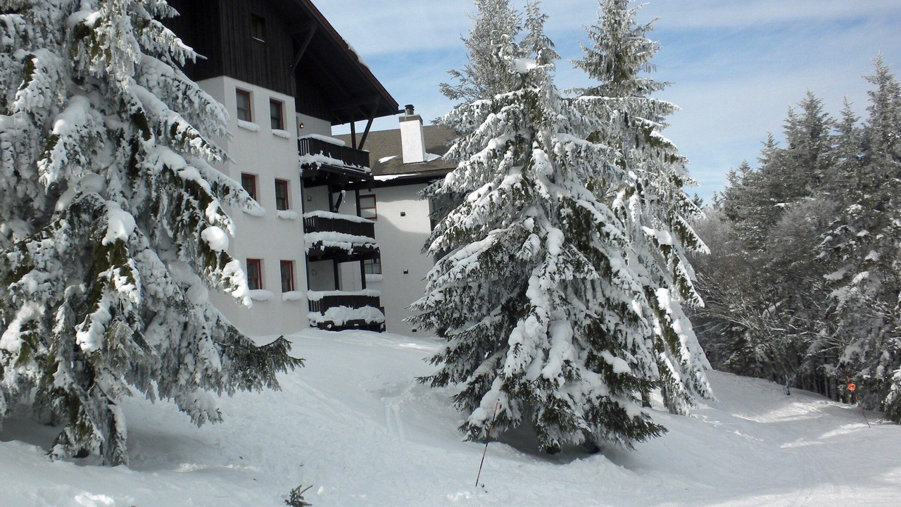 Photo of Outdoor in Snowshoe