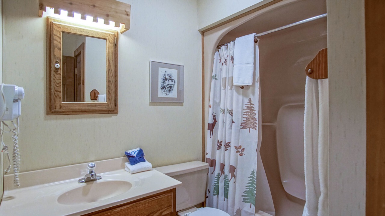 Photo of Bathroom in Snowshoe