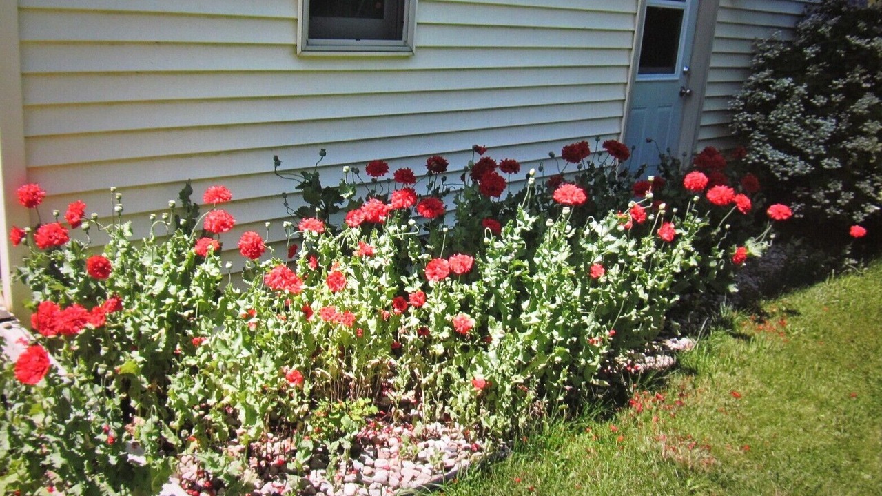Photo of Outdoor in Sturgeon Bay