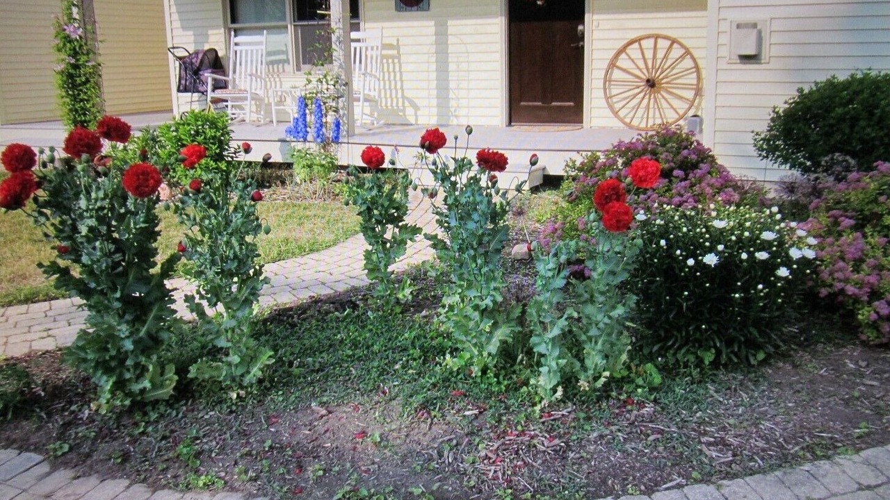 Photo of Outdoor in Sturgeon Bay