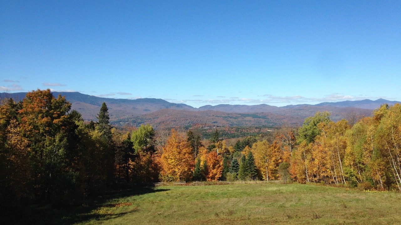 Photo of Outdoor in Warren