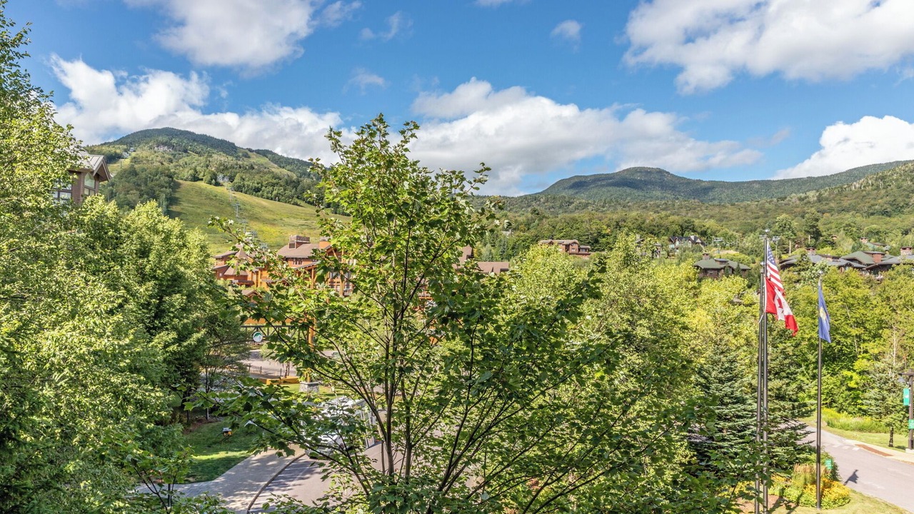 Photo of Others in Stowe Area