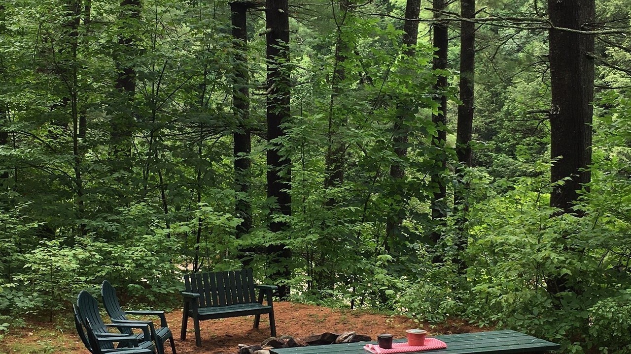 Photo of Outdoor in Upper Jay