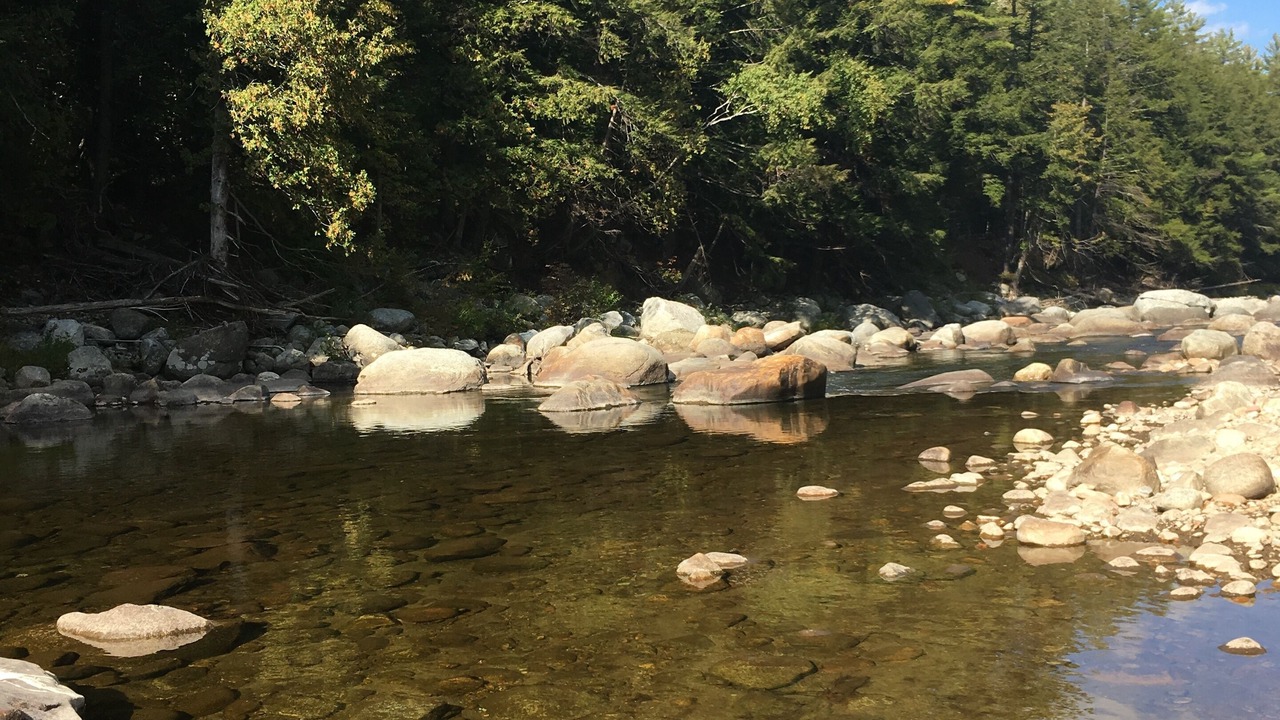 Photo of Others in Upper Jay