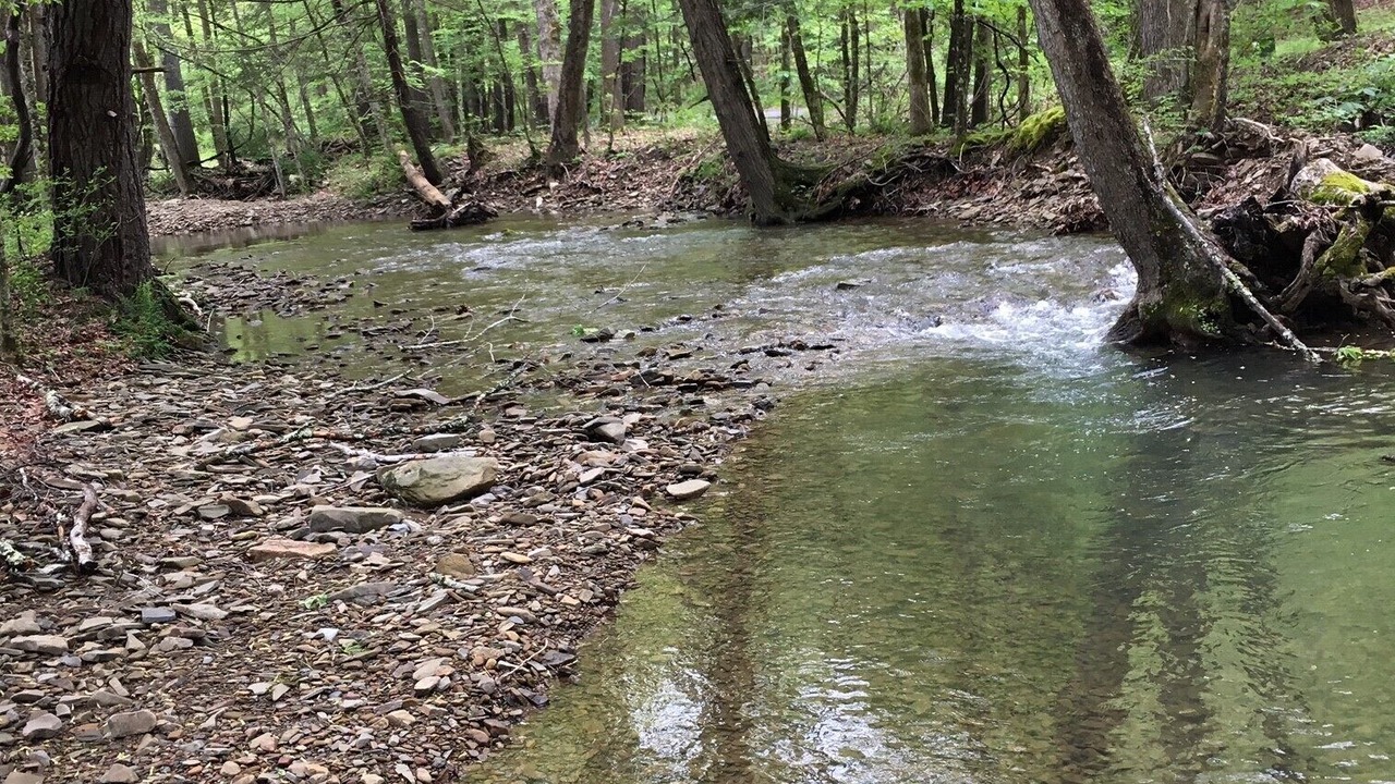 Photo of Others in Caldwell