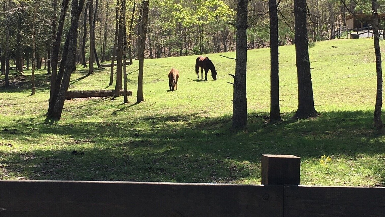 Photo of Others in Caldwell