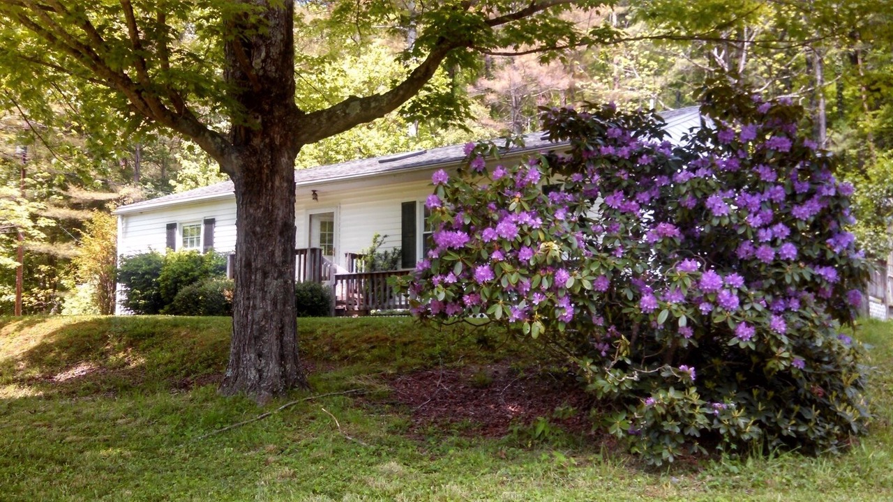 Photo of Outdoor in Upperglade