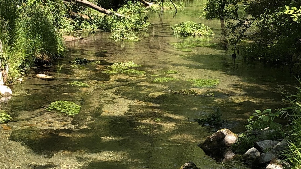 Photo of Others in Decorah