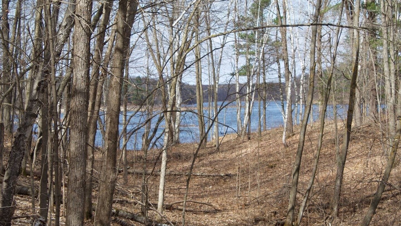 Photo of Others in Rice Lake