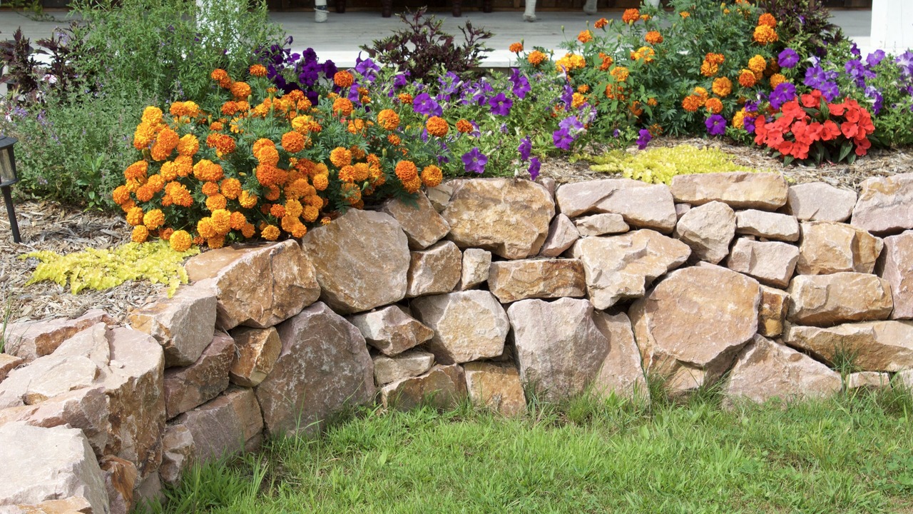 Photo of Outdoor in Rice Lake