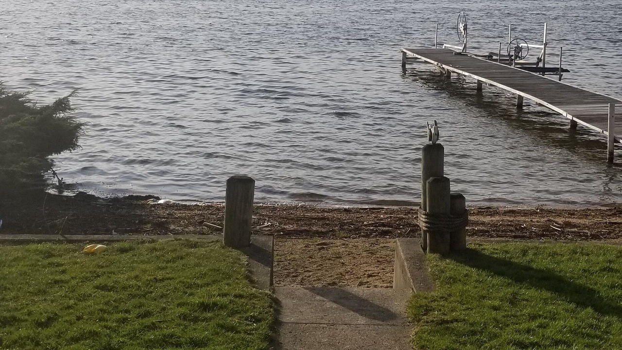 Photo of Others in Paw Paw Lake