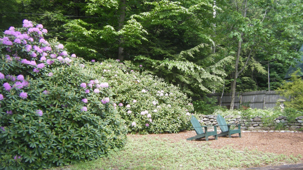 Photo of Outdoor in Newbury