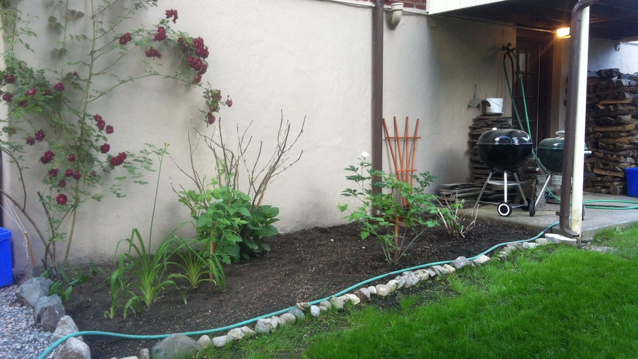 Photo of Outdoor in Cleveland Circle