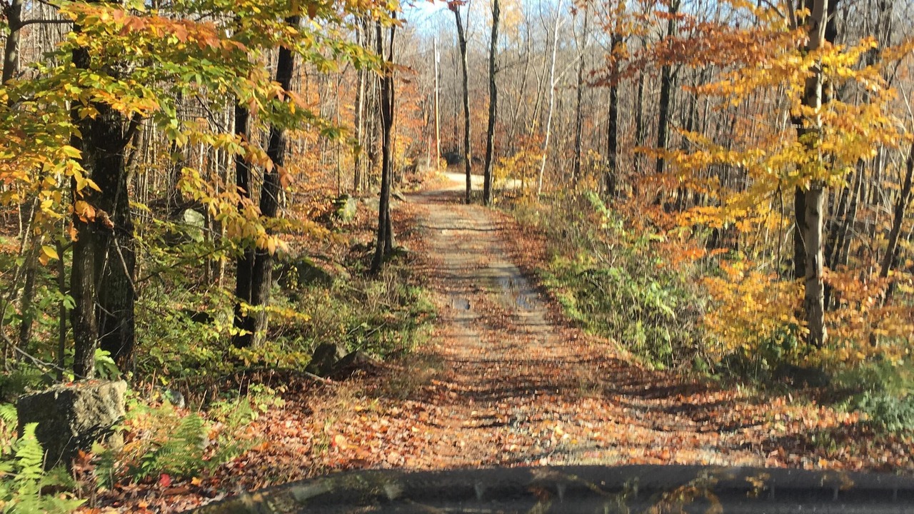 Photo of Outdoor in Washington