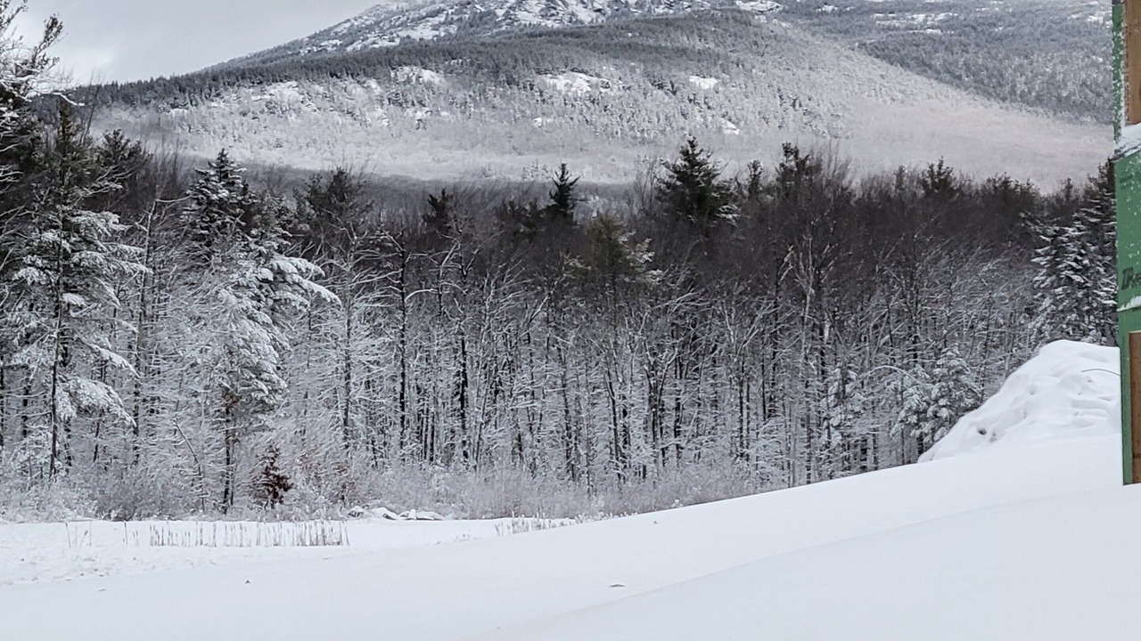 Photo of Others in Jaffrey