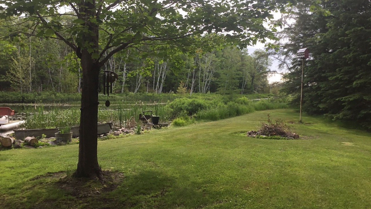 Photo of Others in Solon Springs