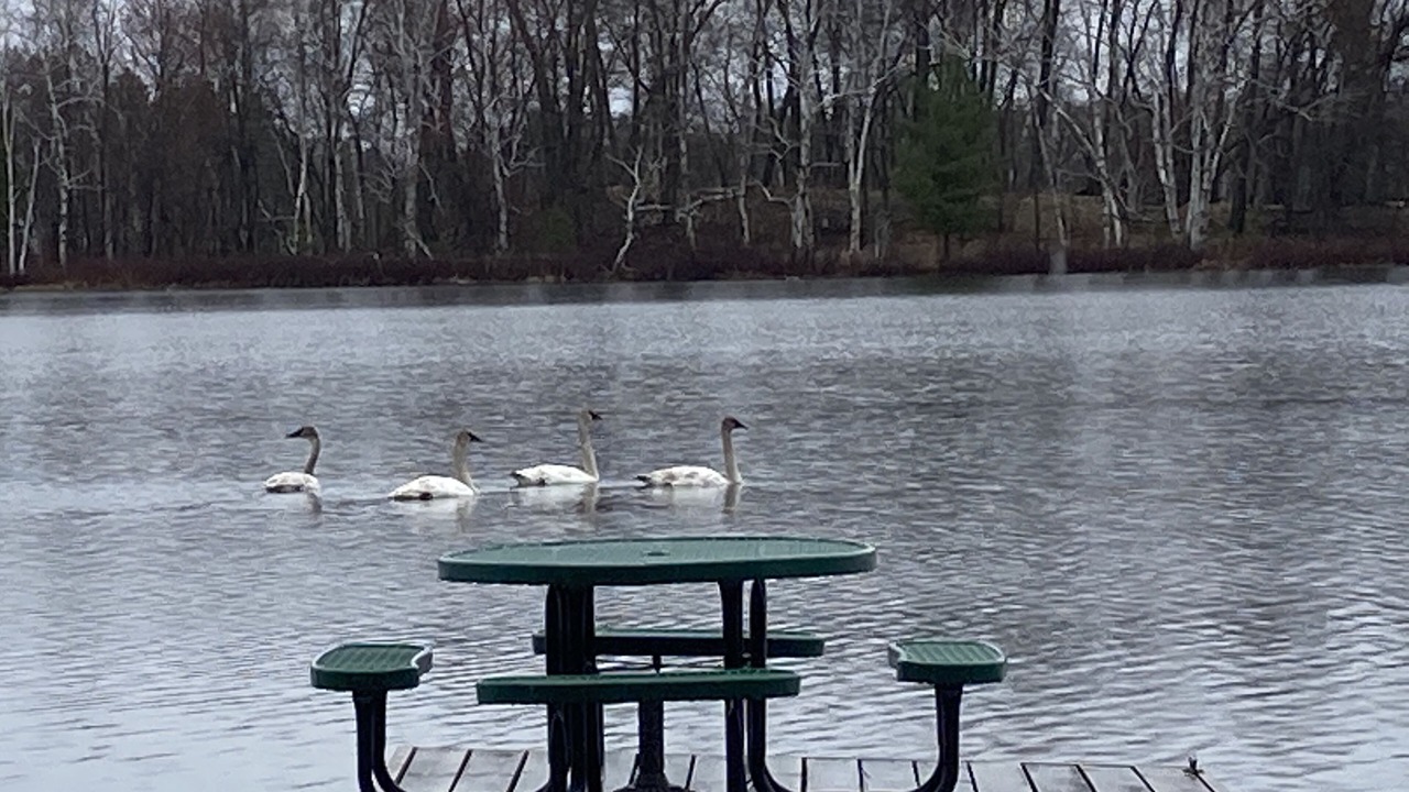 Photo of Outdoor in Solon Springs