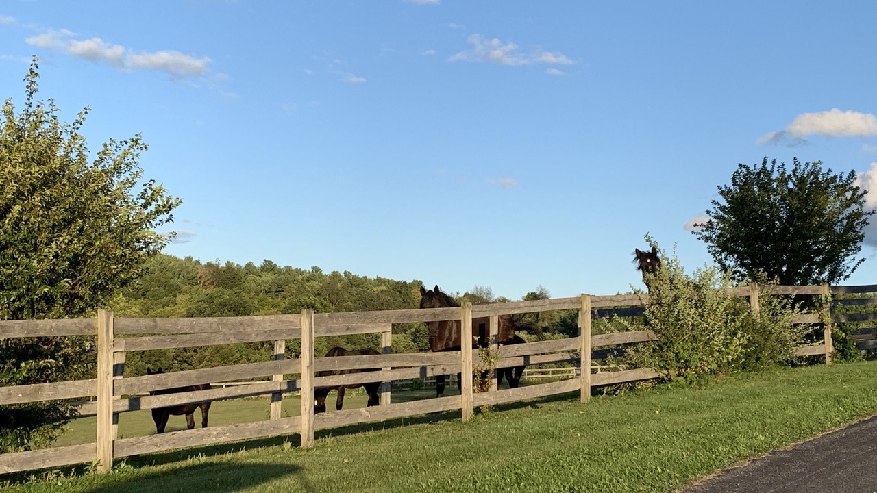 Photo of Outdoor in Chatham