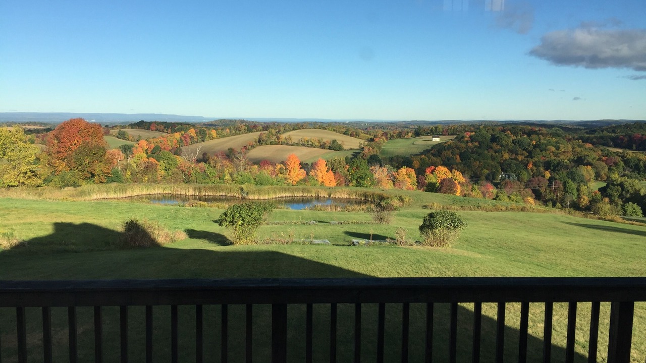 Photo of Outdoor in Chatham