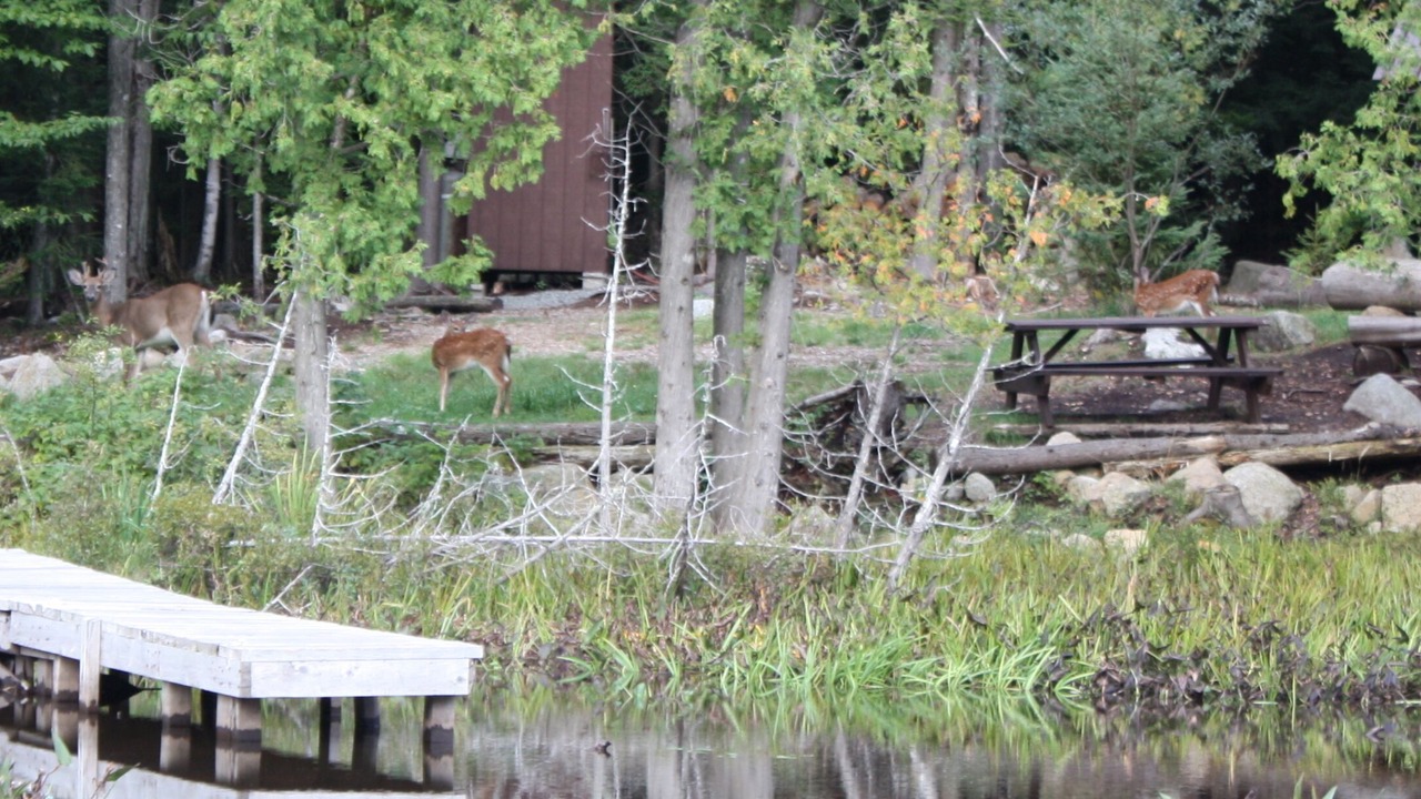 Photo of Outdoor in Saranac Lake
