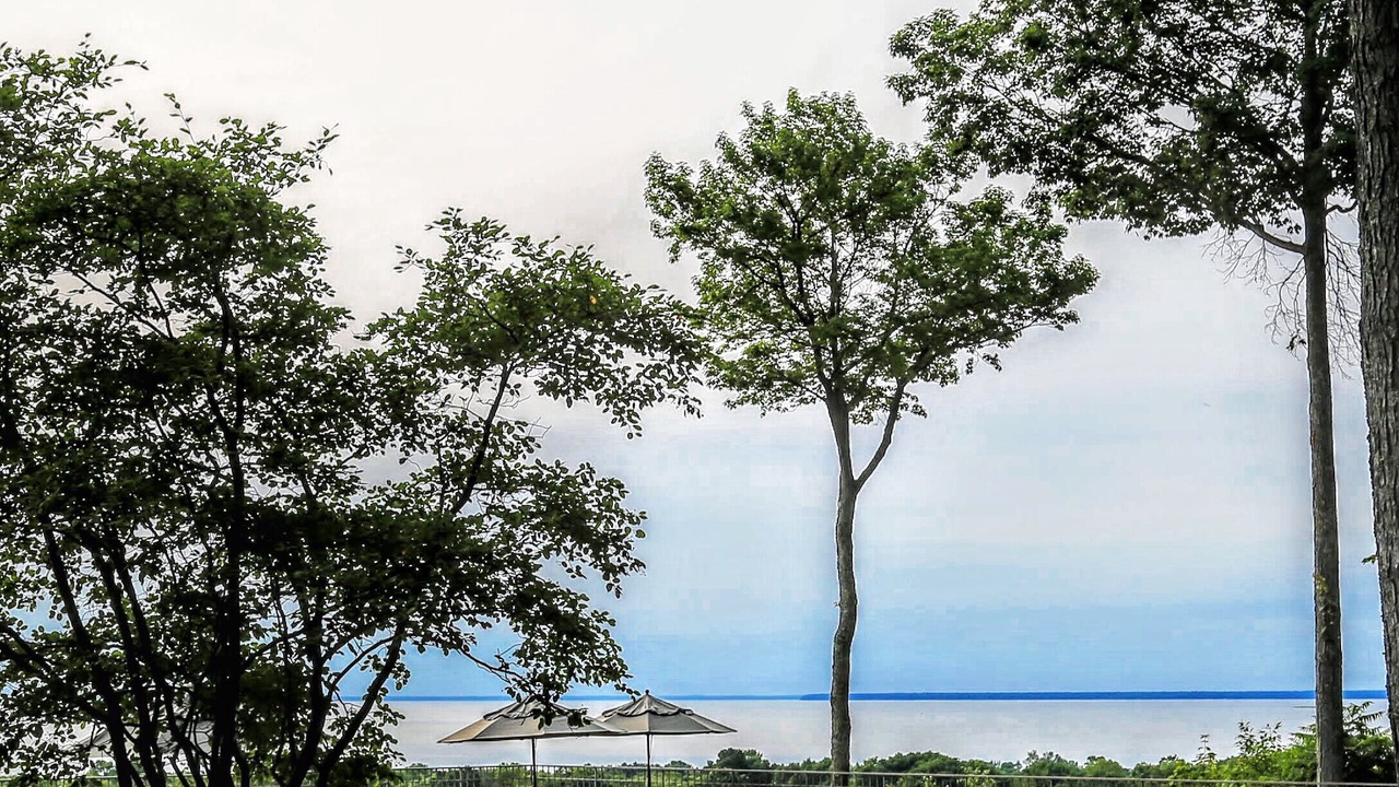 Photo of Outdoor in Egg Harbor
