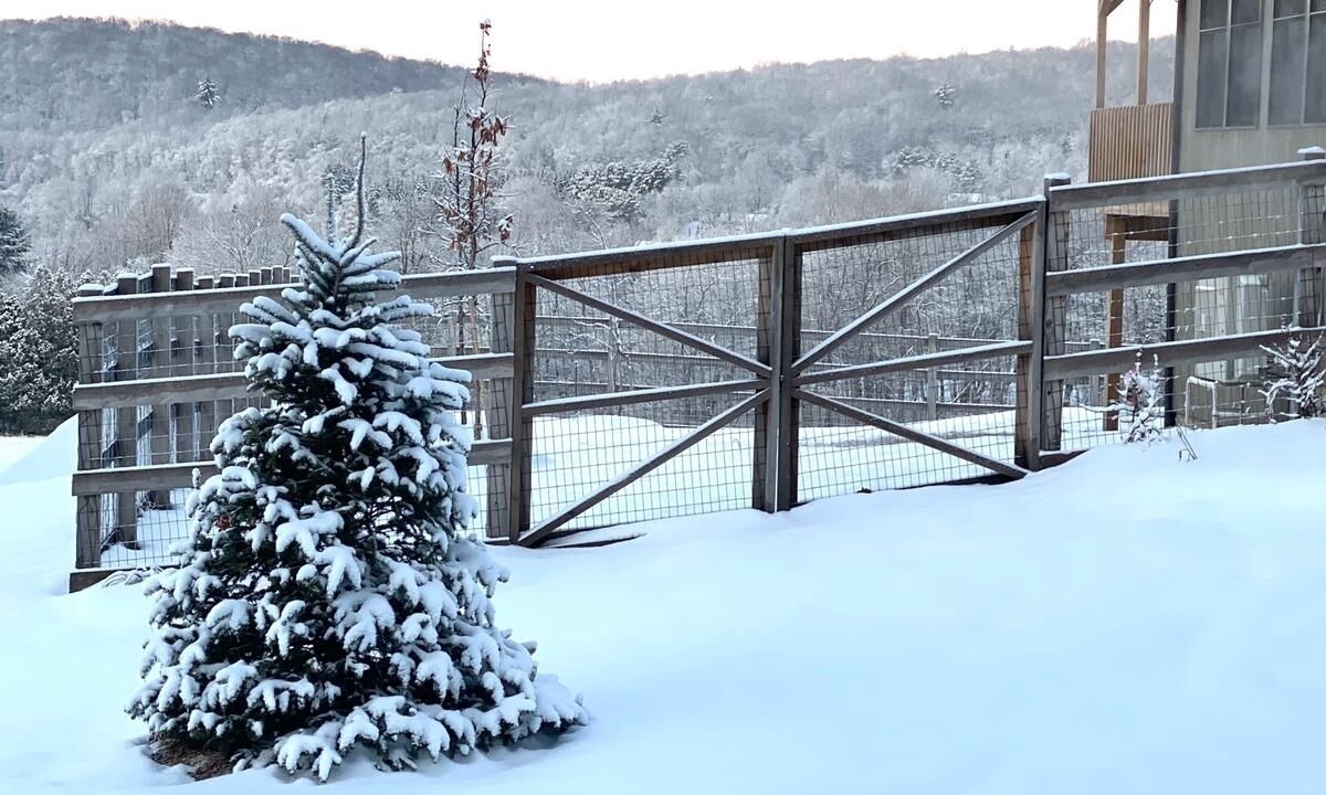 Photo of Outdoor in Underhill