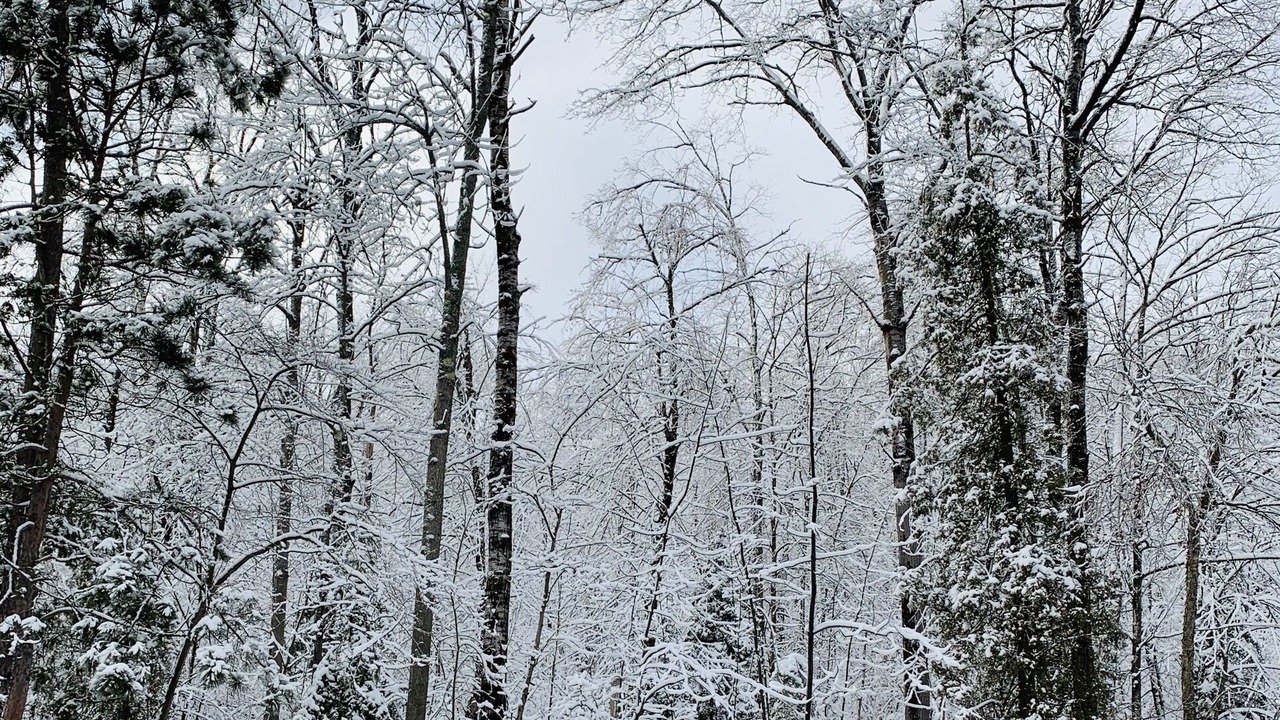 Photo of Others in Au Sable Forks