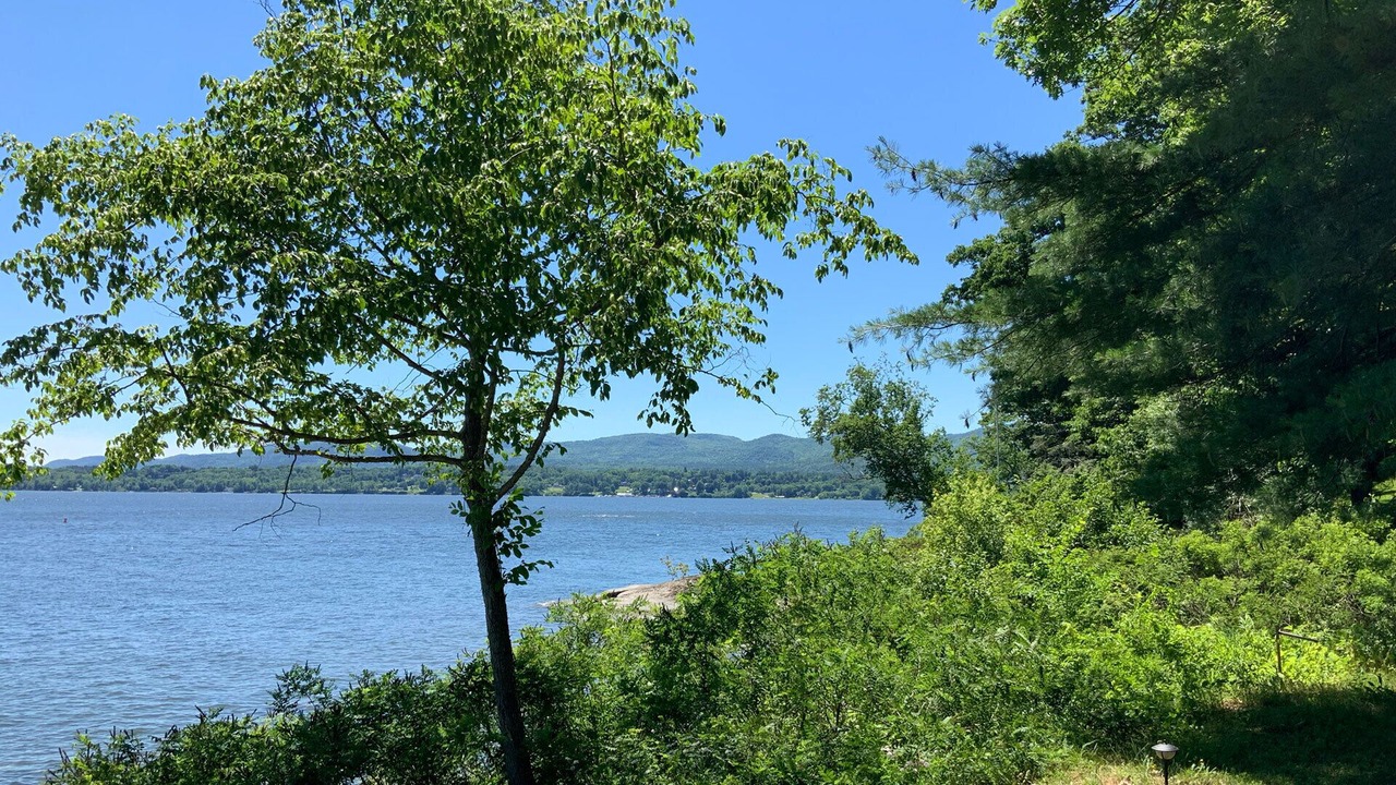Photo of Others in Westport