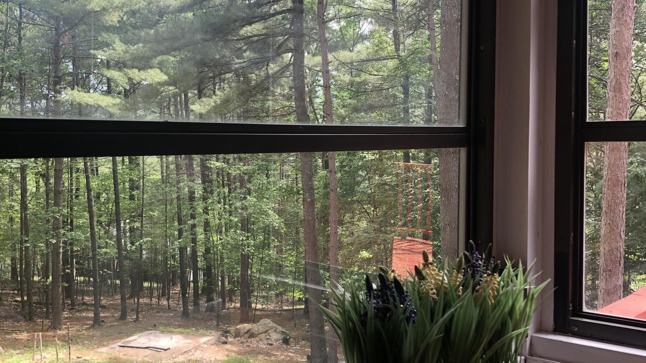 Photo of Outdoor in Jay