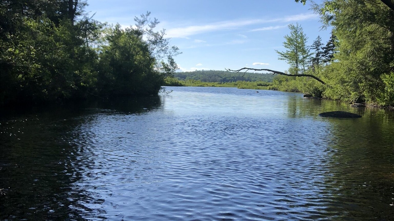 Photo of Outdoor in Enfield