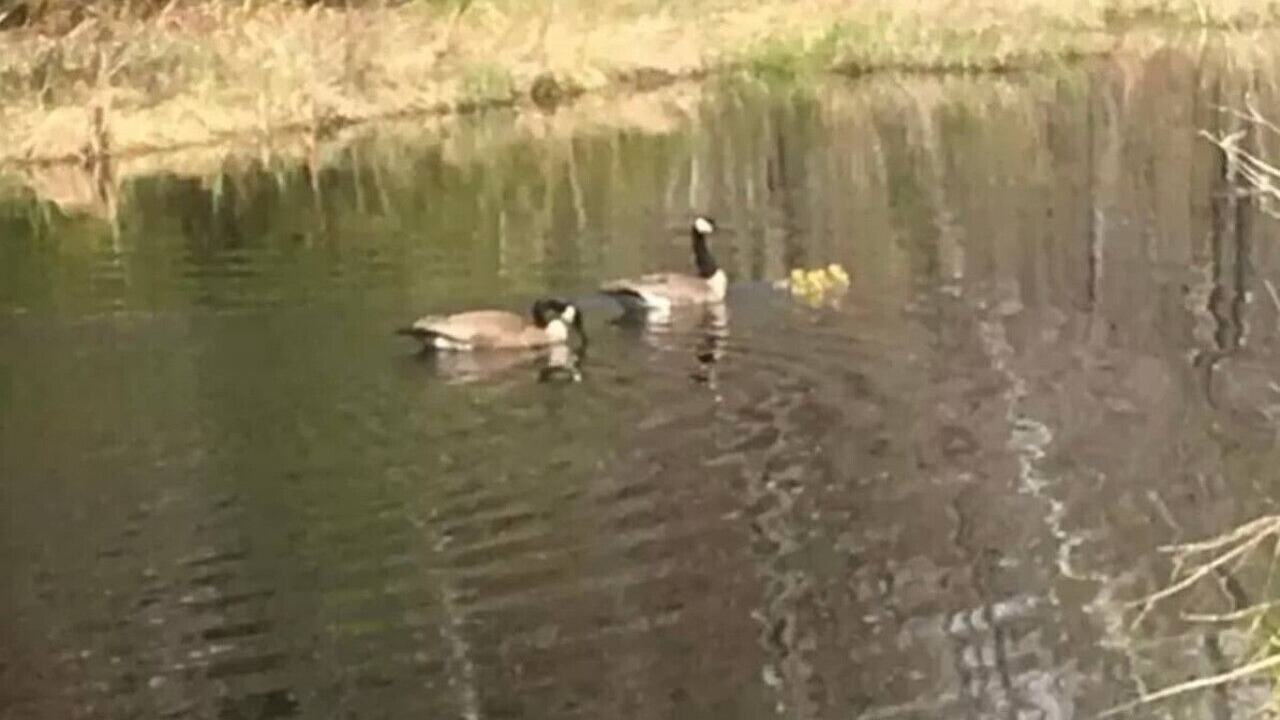 Photo of Others in Pine City