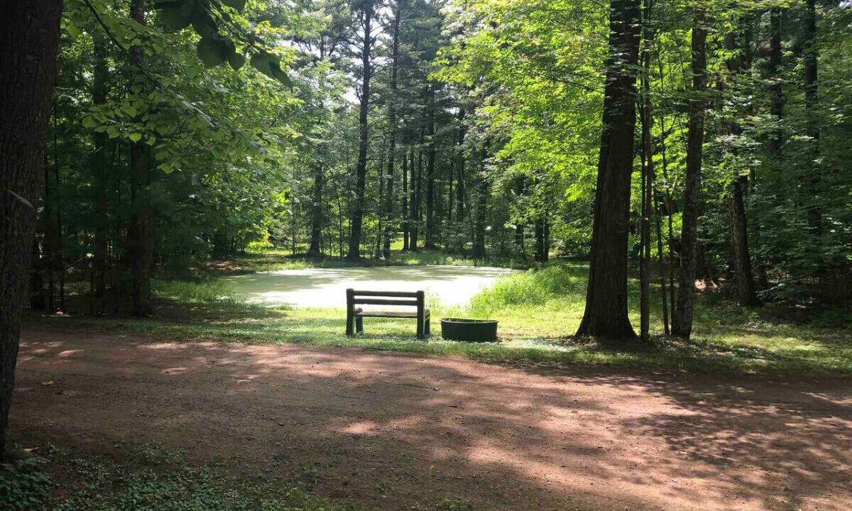 Photo of Outdoor in Pine City