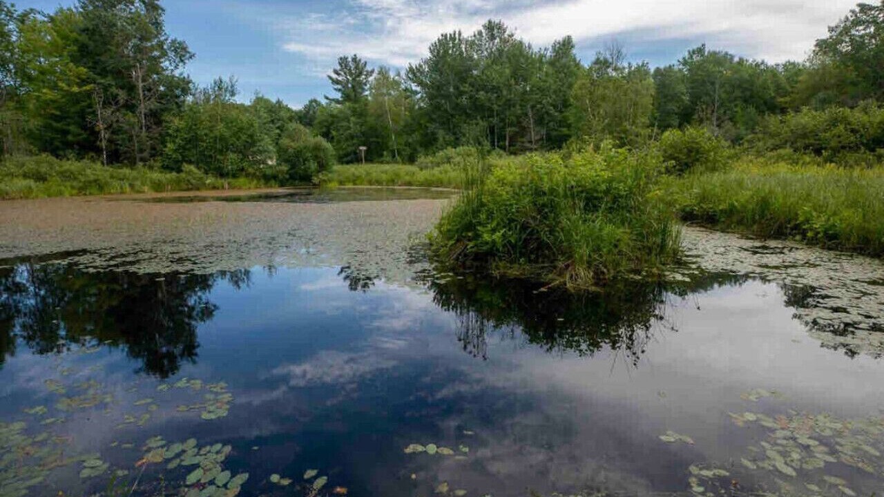 Photo of Outdoor in Pine City