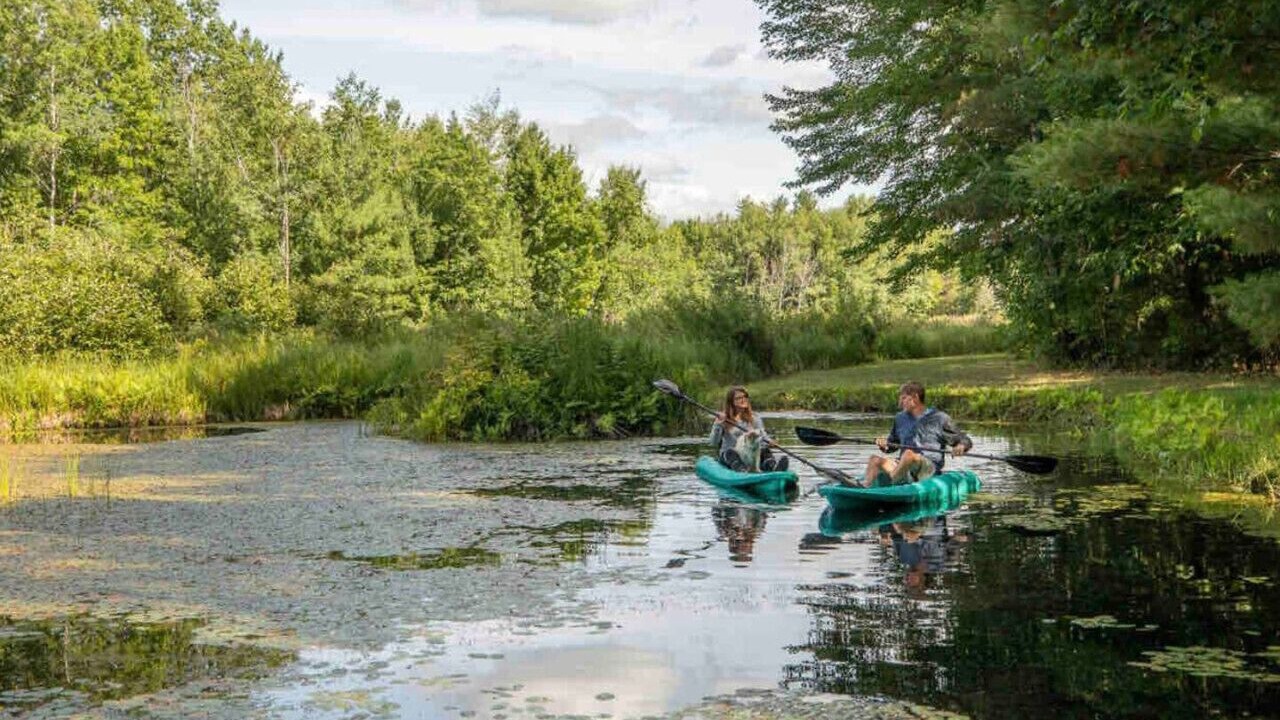 Photo of Others in Pine City