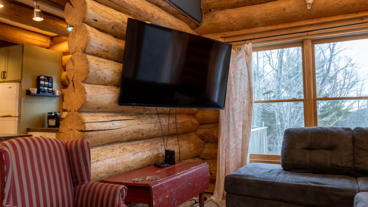 Photo of Livingroom in Atlantic Mine