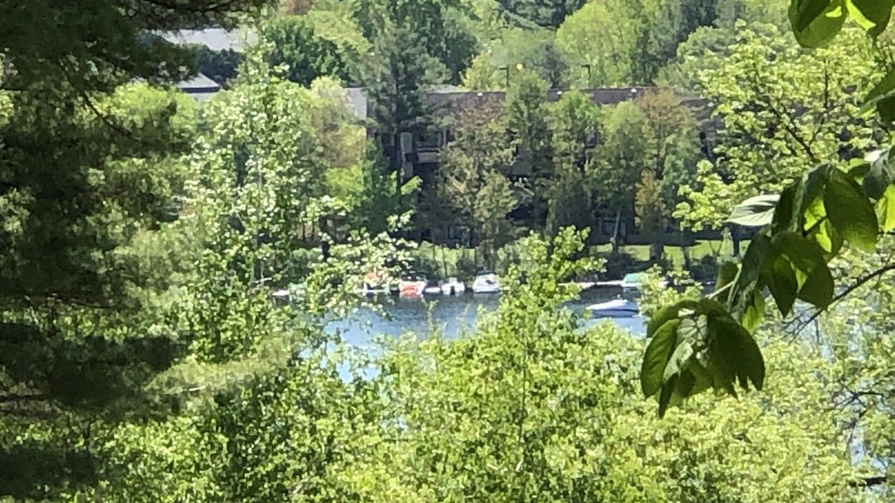 Photo of Others in Bolton Landing
