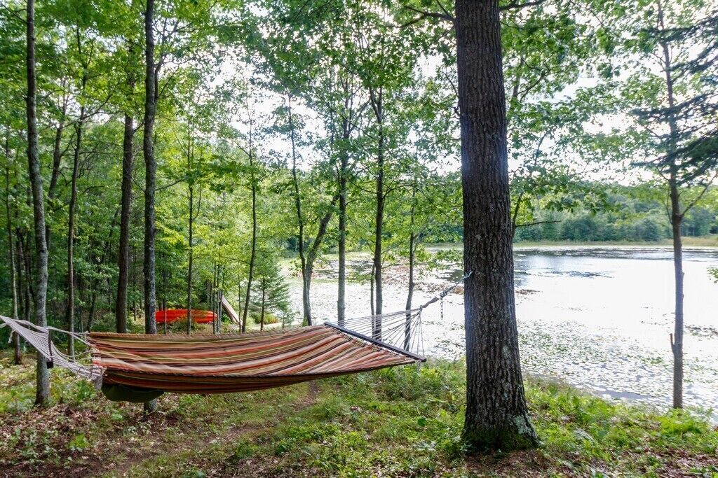 Photo of Outdoor in Springbrook