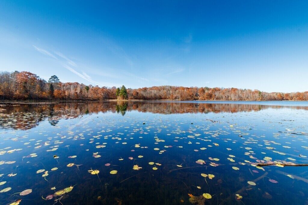 Photo of Outdoor in Springbrook
