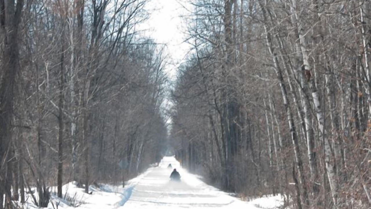 Photo of Others in Birchwood