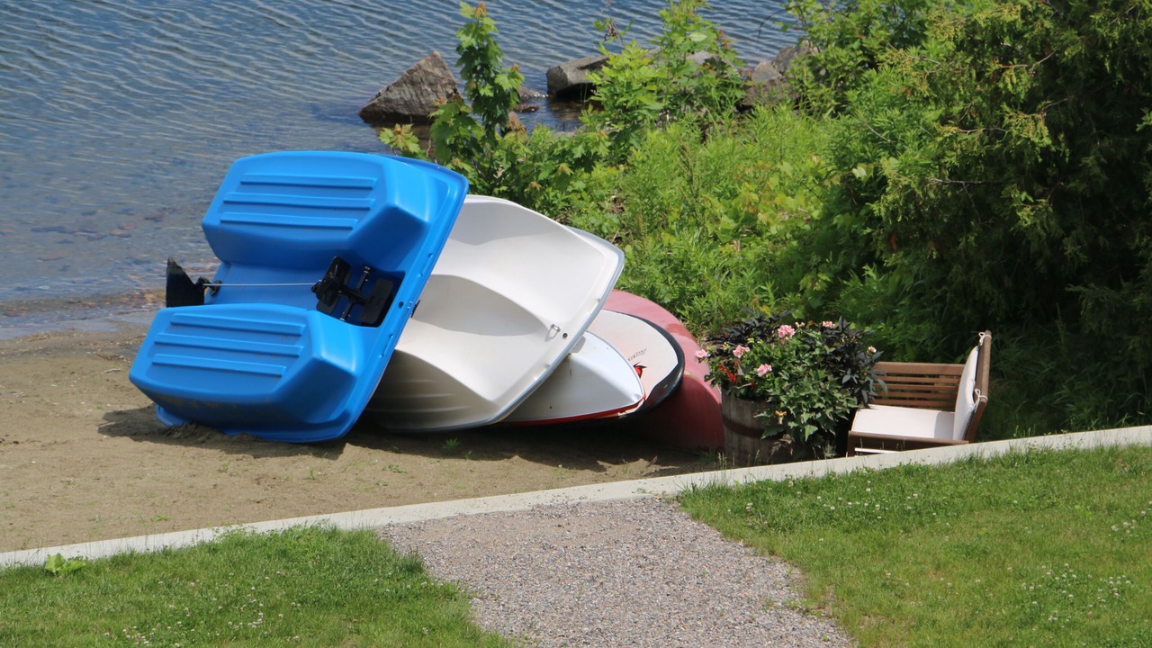 Photo of Others in Malletts Bay