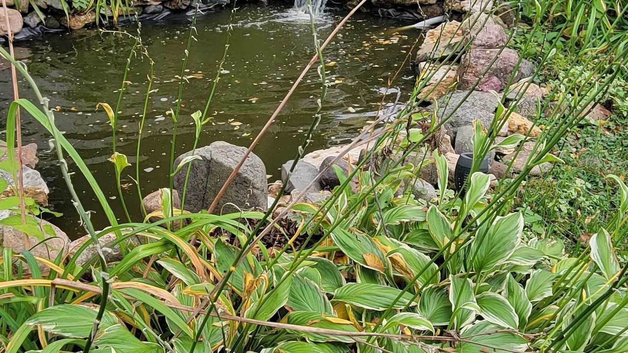 Photo of Others in Clear Lake