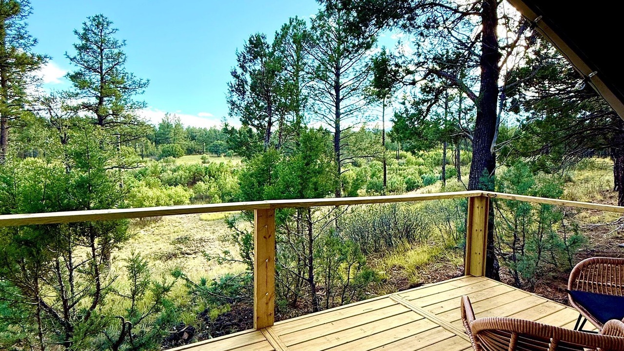 Photo of Patio Balcony in McIntosh